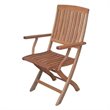 Bowery Hill Wood Patio Folding Chair (Set of 2)