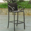 Bowery Hill Patio Bar Stool in Chocolate (Set of 2)