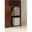 Bowery Hill 5 Shelf Bookcase with Doors in Hansen Cherry
