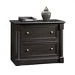 Bowery Hill 2 Drawers Lateral Black Engineered Wood Filing Cabinet Easy Assembly