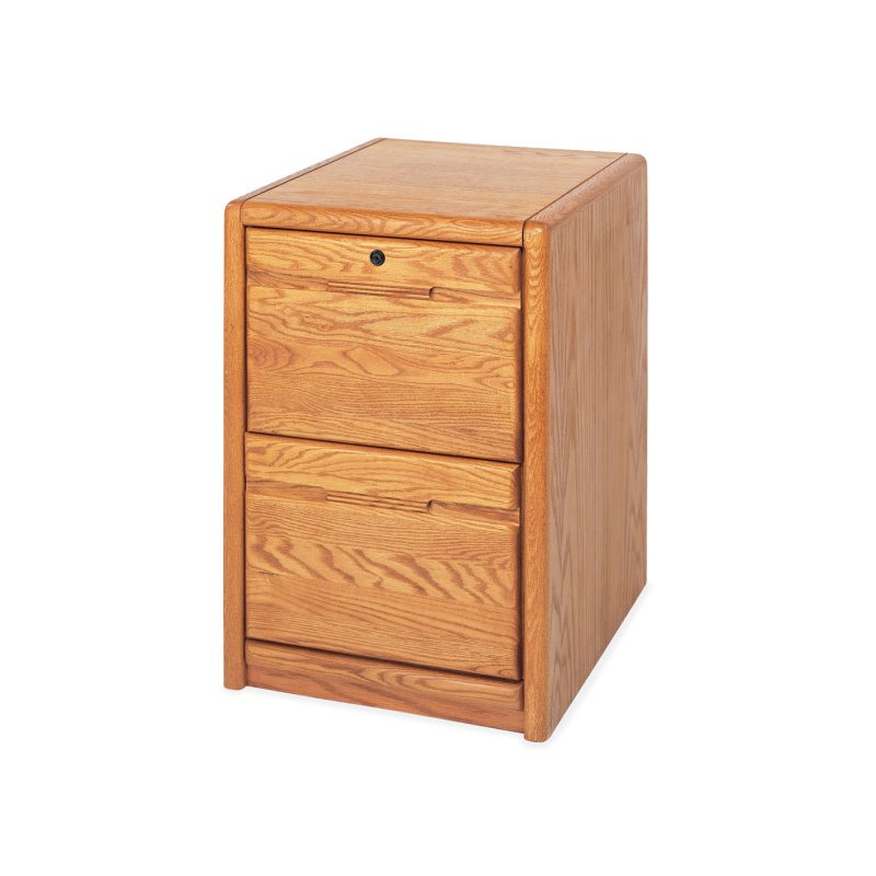 Bowery Hill 2 Drawer File in Medium Oak Cymax Business