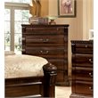Bowery Hill 5 Drawers Transitional Solid Wood/Wood Veneer/MDF Chest in Cherry