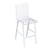 Bowery Hill 24'' Contemporary Metal/Acrylic Counter Stool in Chrome (Set of 2)