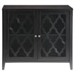 Bowery Hill Contemporary 2-Door Wood/Glass Accent Chest in Black