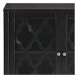 Bowery Hill Contemporary 2-Door Wood/Glass Accent Chest in Black