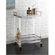 Bowery Hill Acrylic Bar Cart in Chrome