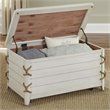 Bowery Hill Storage Trunk in White