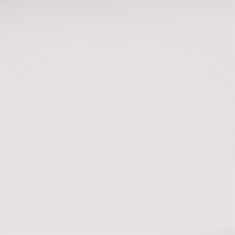 Bowery Hill Contemporary Sofa in White