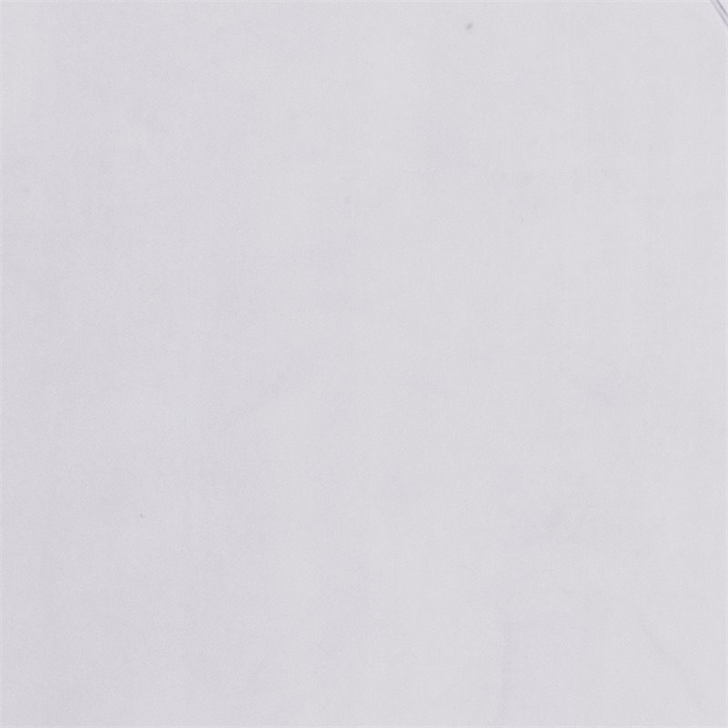 Bowery Hill Plastic Ice Florence Transparent Stacking Chair in Clear