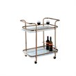 Bowery Hill Glass Bar Cart in Champagne