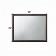 Bowery Hill Rectangular Wood Frame Bedroom Mirror in Espresso