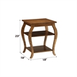 Bowery Hill 2 Shelves Square Wood End Table with Cabriole Legs in Walnut