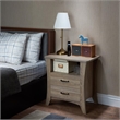 Bowery Hill 2-Drawer Farmhouse Wood Nightstand in Rustic Natural