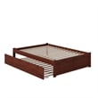 Bowery Hill Solid Wood Platform Full Panel Bed with Trundle in Walnut