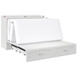 Bowery Hill Traditional Wood Queen Murphy Bed Chest in White