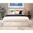 Bowery Hill Traditional Wood Queen Murphy Bed Chest in White