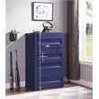 Bowery Hill Industrial Contemporary Metal Chest with 1 Door in Blue