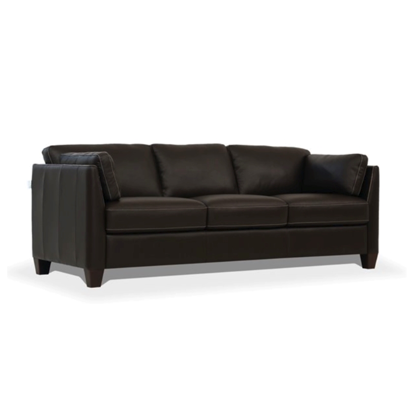 Bowery Hill Modern Leather Sofa in Chocolate