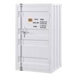 Bowery Hill Contemporary Metal Rectangular Chest with 1 Door in White