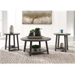 Bowery Hill 3 Piece Coffee Table Set in Gray