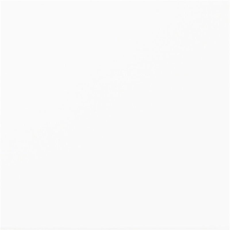 Bowery Hill Traditional Wood Bedroom Twin Junior Loft Bed in White