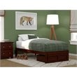 Bowery Hill Modern Solid Wood Twin Bed with Foot Drawer in Walnut