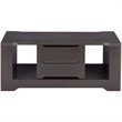Bowery Hill Wood Storage Coffee Table in Espresso