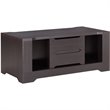 Bowery Hill Wood Storage Coffee Table in Espresso