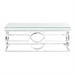 Bowery Hill Modern Rectangle Mirrored Stainless Steel Coffee Table in Clear