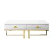 Bowery Hill 2-Drawers Stainless Steel Base Coffee Table in White and Gold