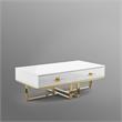 Bowery Hill 2-Drawers Stainless Steel Base Coffee Table in White and Gold