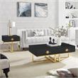 Bowery Hill 2-Drawers Stainless Steel Base Coffee Table in Black and Gold