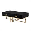 Bowery Hill 2-Drawers Stainless Steel Base Coffee Table in Black and Gold