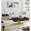 Bowery Hill 2-Drawers Stainless Steel Base Coffee Table in Black and Gold
