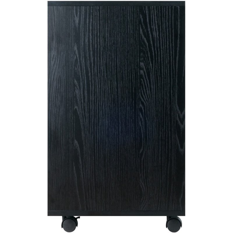Bowery Hill 5-Drawer Wide Door Contemporary Wood Storage Cabinet in Black
