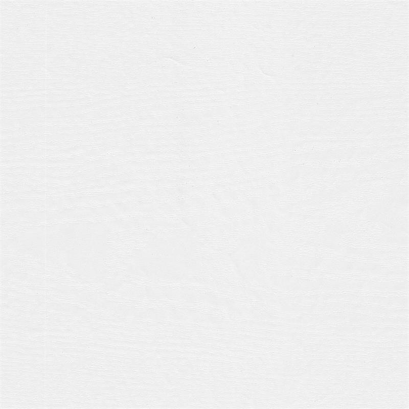 Bowery Hill Transitional Engineered Wood Tall Bookcase Cabinet in White