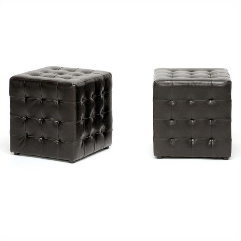 Bowery Hill Modern Ottoman in Dark Brown (Set of 2)