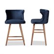 Bowery Hill Blue and Walnut Brown Finished Wood 2-Piece Stool Set