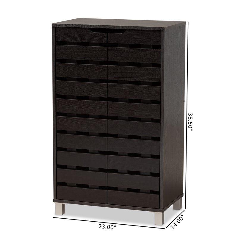 Bowery Hill Dark Brown Finished Wood 2-Door Shoe Storage Cabinet