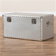 Bowery Hill Mid-Century Metal and Wood Storage Trunk in Silver