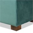 Bowery Hill Teal Blue Velvet Upholstered Storage Ottoman Bench