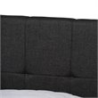 Bowery Hill Modern Fabric Tufted Platform Storage Queen Bed in Dark Gray