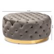 Bowery Hill Gray Velvet Upholstered Gold Finished Cocktail Ottoman