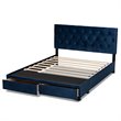 Bowery Hill Modern Velvet Tufted Platform Storage Queen Bed in Blue