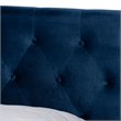 Bowery Hill Modern Velvet Tufted Platform Storage Queen Bed in Blue