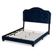 Bowery Hill Queen Size Navy Blue Velvet Upholstered Button Tufted Bed