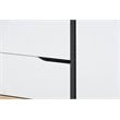 Bowery Hill Multicolor 2-Door Wood Dining Room Sideboard