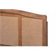 Bowery Hill Traditional Rattan/Wood Queen Size Platform Bed in Ash Brown
