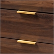 Bowery Hill Mid-Century 5-Drawer Engineered Wood Chest in Walnut Brown