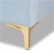 Bowery Hill Modern Velvet Upholstered Queen Platform Bed in Light Blue